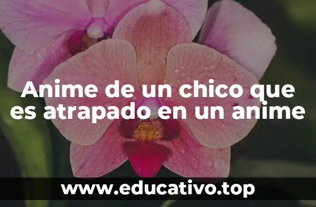 Anime de un chico que es atrapado en un anime