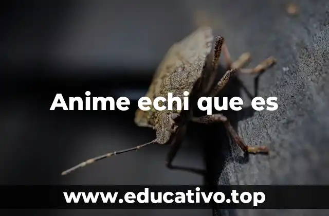 Anime echi que es