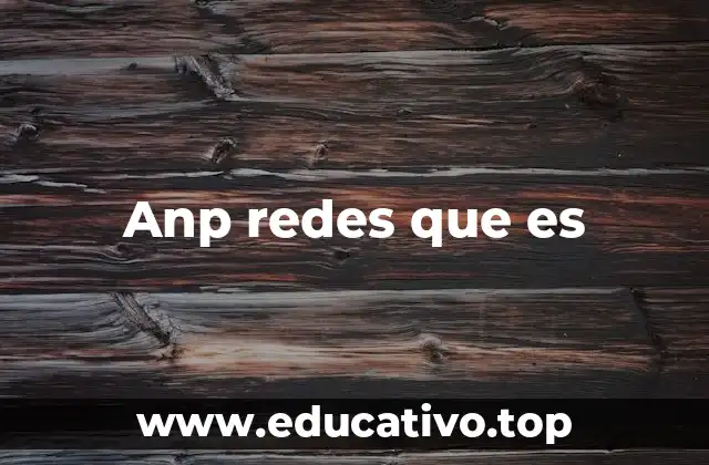 Anp redes que es