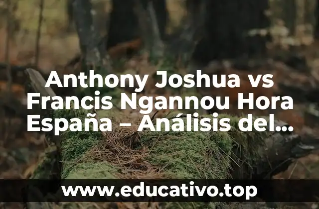Anthony Joshua vs Francis Ngannou Hora España – Análisis del Gran Combate
