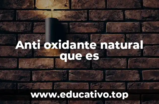 Anti oxidante natural que es