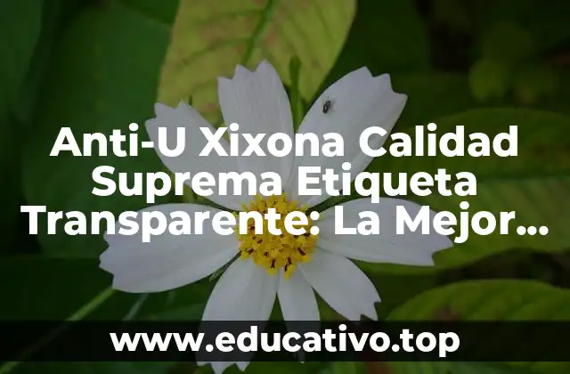 Anti-U Xixona Calidad Suprema Etiqueta Transparente: La Mejor Opción para tus Productos