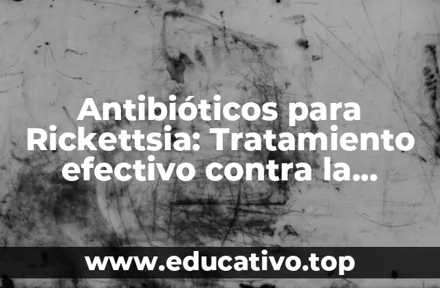Antibióticos para Rickettsia: Tratamiento efectivo contra la enfermedad de Rickettsia