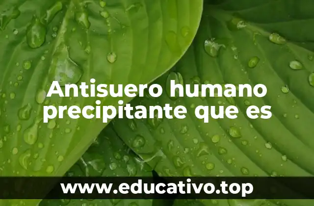 Antisuero humano precipitante que es