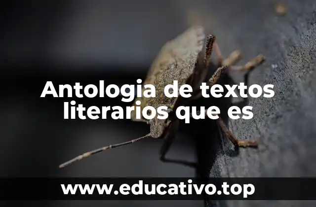 Antologia de textos literarios que es