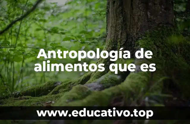 Antropología de alimentos que es