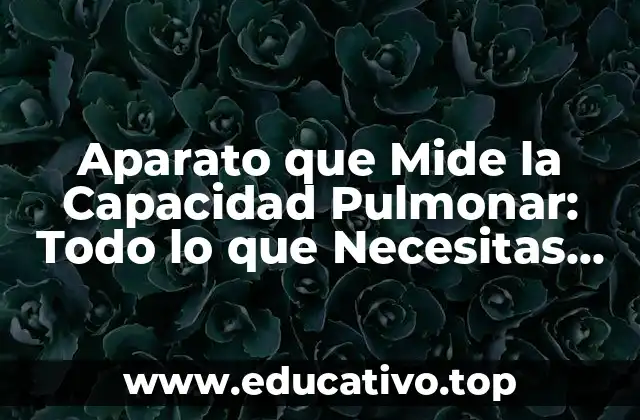 Aparato que Mide la Capacidad Pulmonar: Todo lo que Necesitas Saber