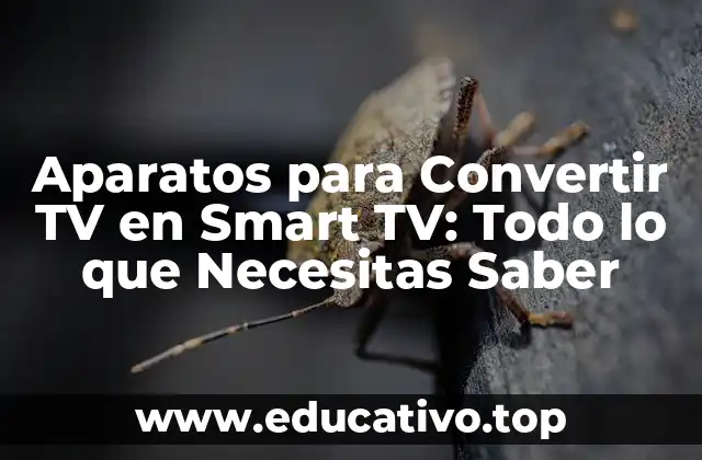 Aparatos para Convertir TV en Smart TV: Todo lo que Necesitas Saber