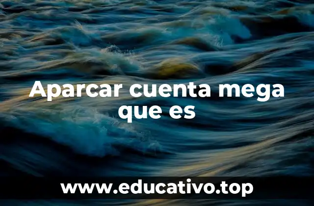 Aparcar cuenta mega que es