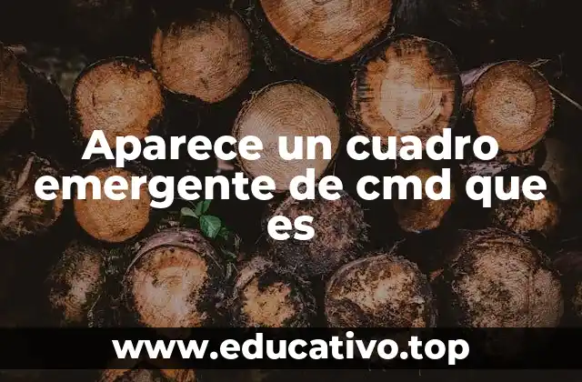 Aparece un cuadro emergente de cmd que es