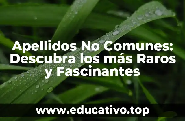 Apellidos No Comunes: Descubra los más Raros y Fascinantes