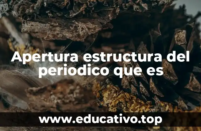 Apertura estructura del periodico que es