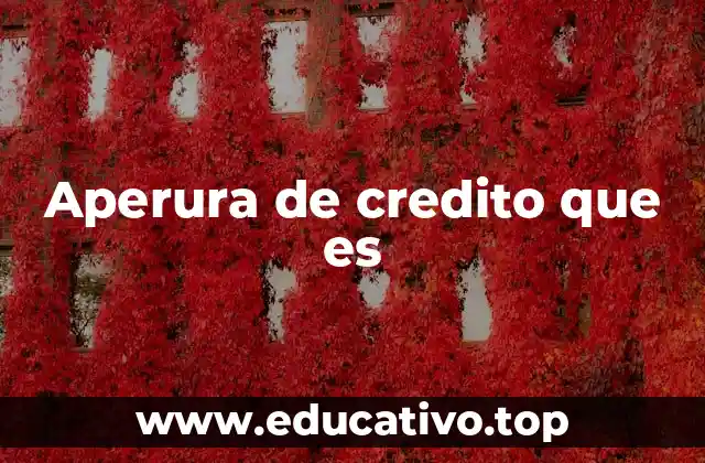 Aperura de credito que es