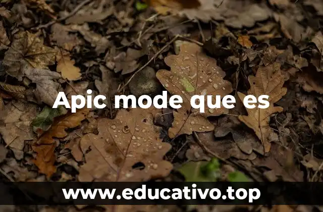 Apic mode que es