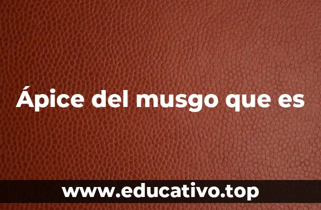 Ápice del musgo que es