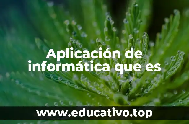 Aplicación de informática que es
