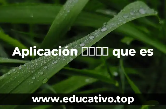 Aplicación 网络位置 que es