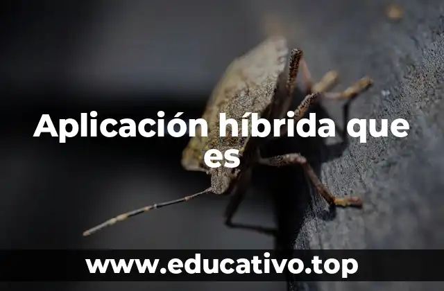 Aplicación híbrida que es