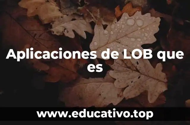 Aplicaciones de LOB que es