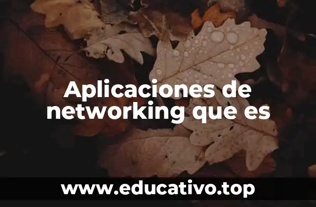 Aplicaciones de networking que es