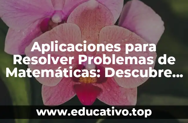 Aplicaciones para Resolver Problemas de Matemáticas: Descubre las Mejores Herramientas