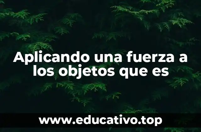Aplicando una fuerza a los objetos que es