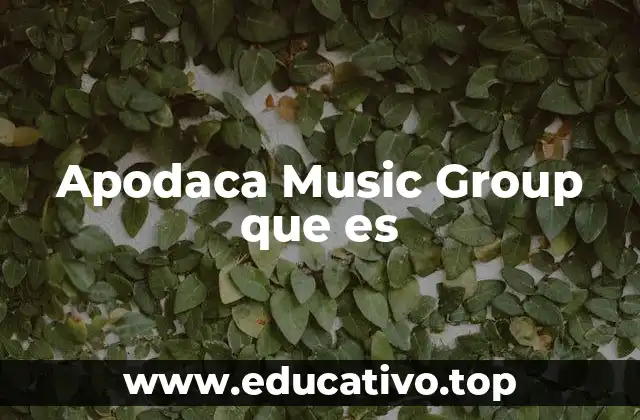 Apodaca Music Group que es