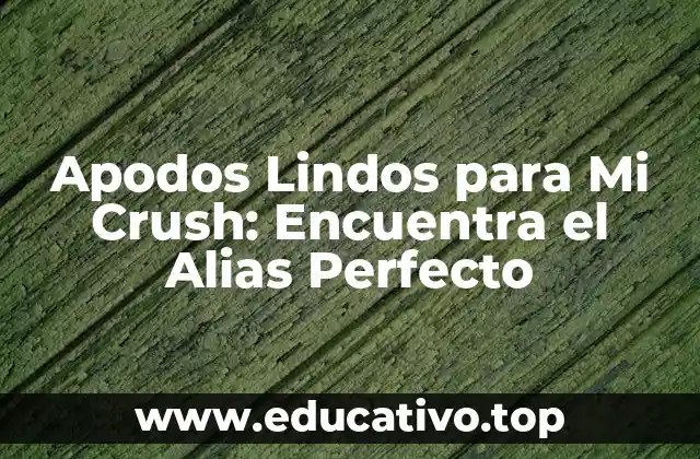 Apodos Lindos para Mi Crush: Encuentra el Alias Perfecto