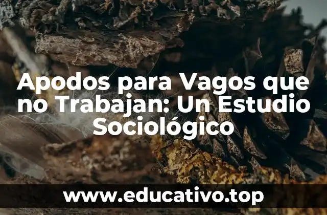 Apodos para Vagos que no Trabajan: Un Estudio Sociológico
