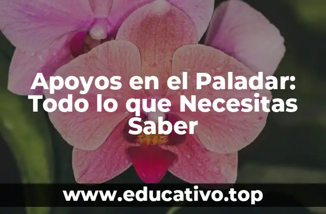 Apoyos en el Paladar: Todo lo que Necesitas Saber