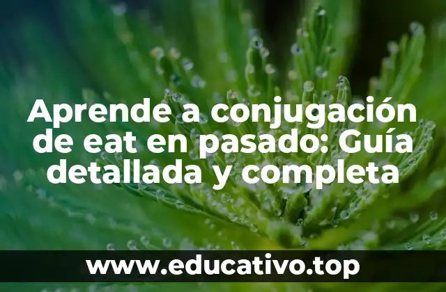 Aprende a conjugación de eat en pasado: Guía detallada y completa