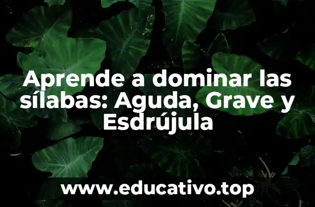 Aprende a dominar las sílabas: Aguda, Grave y Esdrújula
