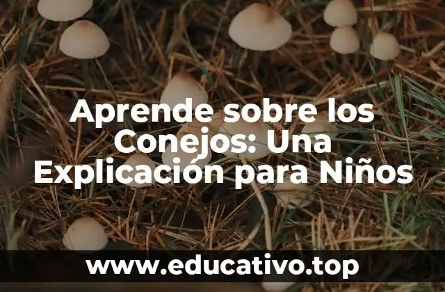 Aprende sobre los Conejos: Una Explicación para Niños