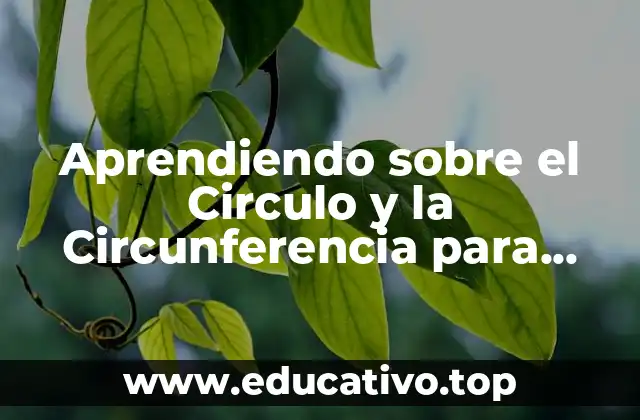 Aprendiendo sobre el Circulo y la Circunferencia para Niños de Primaria