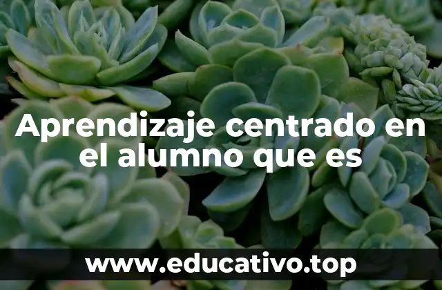 Aprendizaje centrado en el alumno que es