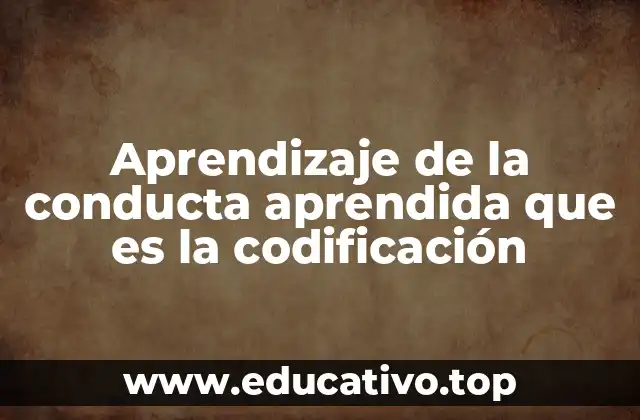 Aprendizaje de la conducta aprendida que es la codificación
