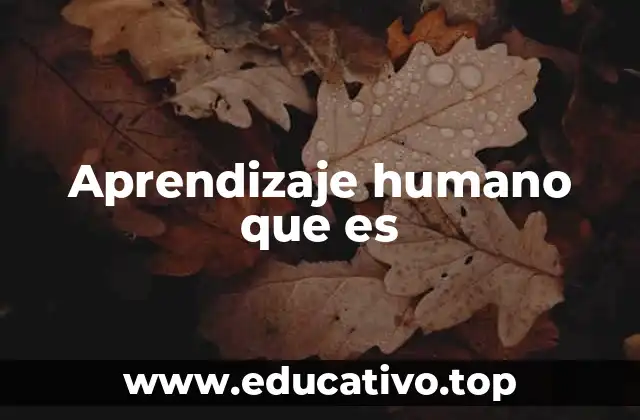 Aprendizaje humano que es