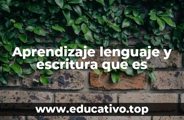 Aprendizaje lenguaje y escritura que es