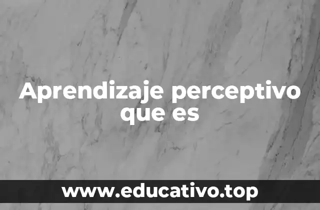 Aprendizaje perceptivo que es