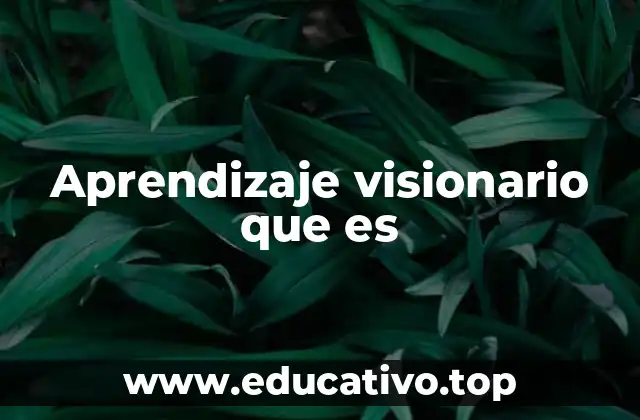Aprendizaje visionario que es