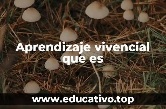 Aprendizaje vivencial que es