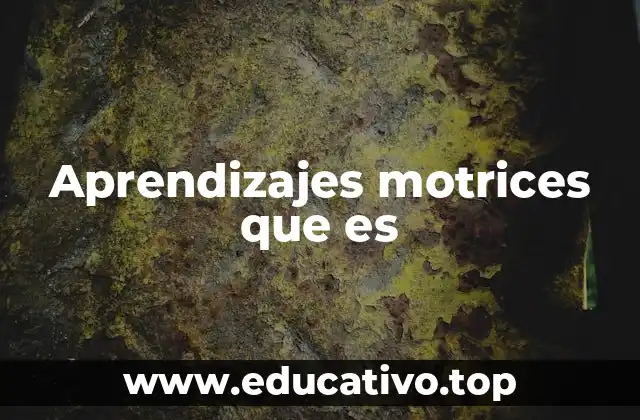 Aprendizajes motrices que es