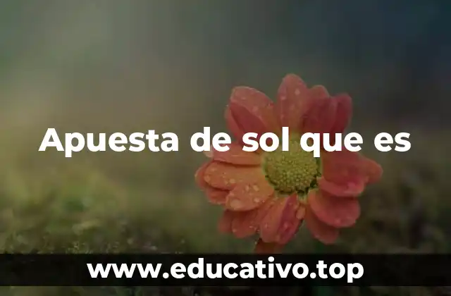 Apuesta de sol que es