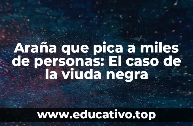 Araña que pica a miles de personas: El caso de la viuda negra