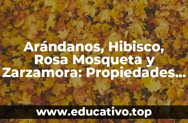 Arándanos, Hibisco, Rosa Mosqueta y Zarzamora: Propiedades y Beneficios