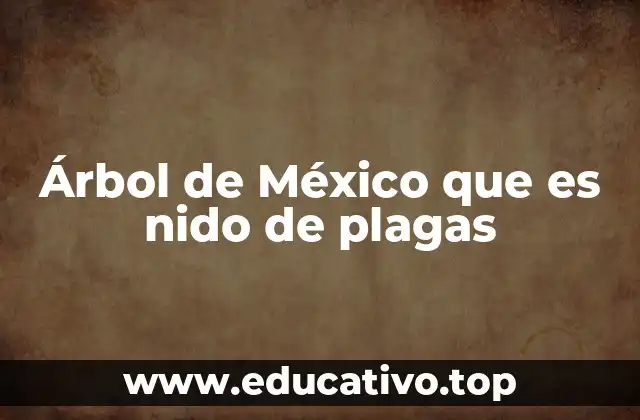Árbol de México que es nido de plagas