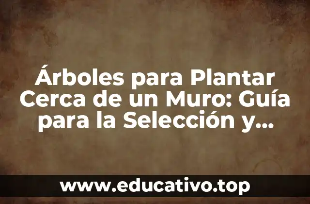 Árboles para Plantar Cerca de un Muro: Guía para la Selección y Cuidado
