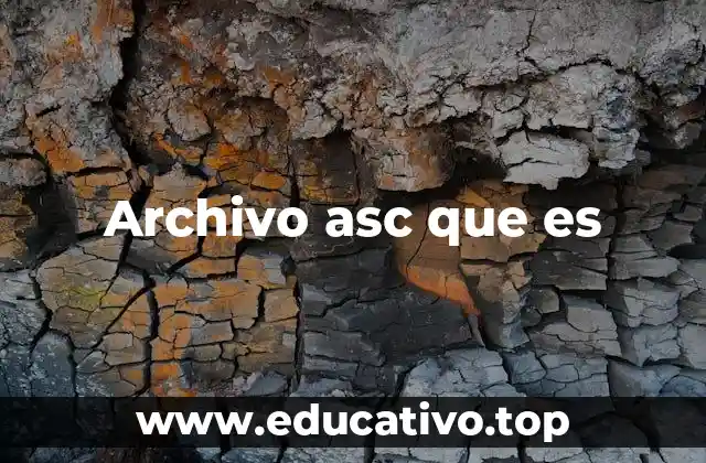 Archivo asc que es