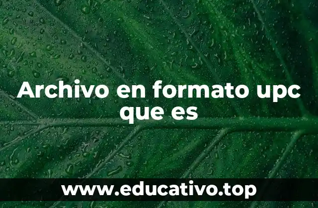 Archivo en formato upc que es