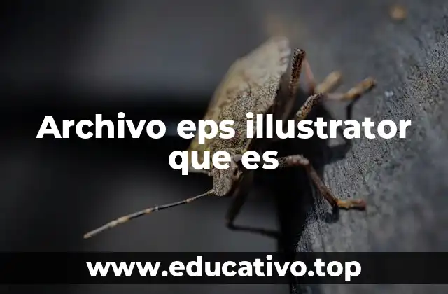 Archivo eps illustrator que es